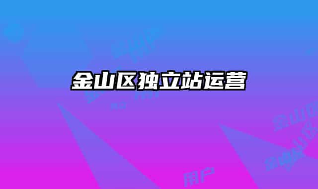 金山区独立站运营