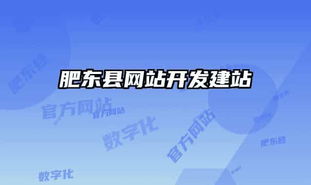 肥东县网站开发建站