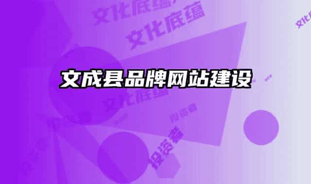 文成县品牌网站建设