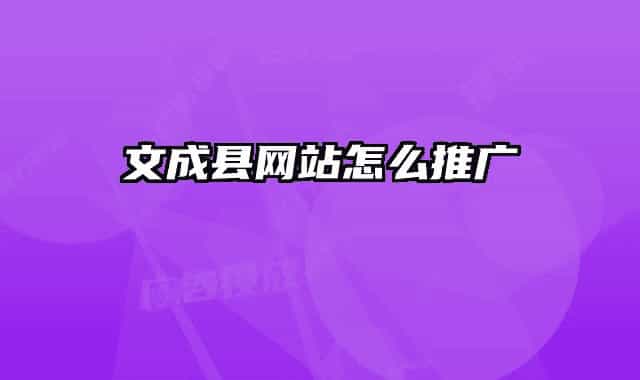 文成县网站怎么推广