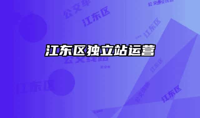 江东区独立站运营