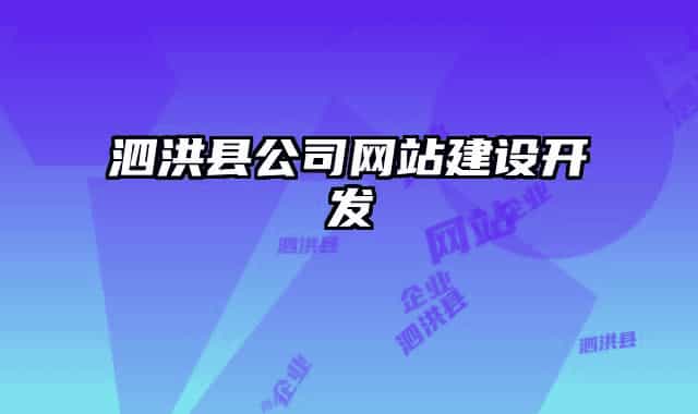 泗洪县公司网站建设开发