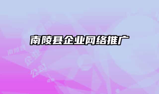 南陵县企业网络推广