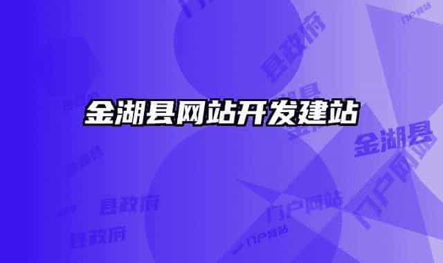 金湖县网站开发建站