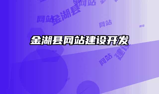 金湖县网站建设开发