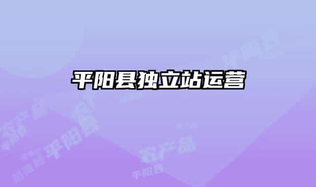 平阳县独立站运营