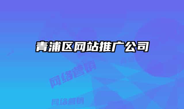 青浦区网站推广公司