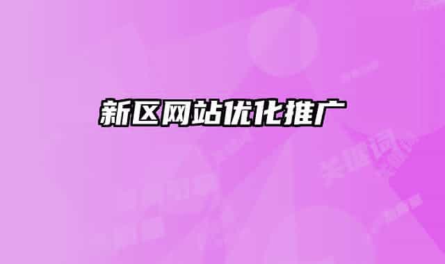 新区网站优化推广