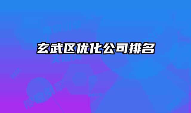 玄武区优化公司排名