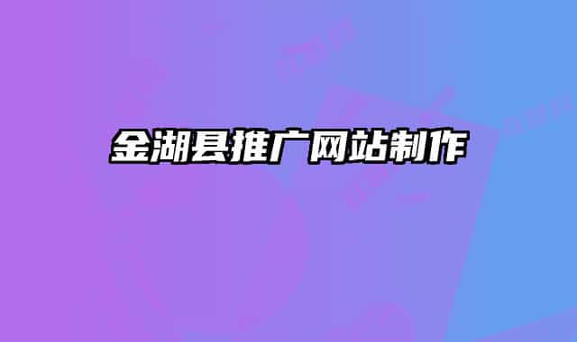金湖县推广网站制作
