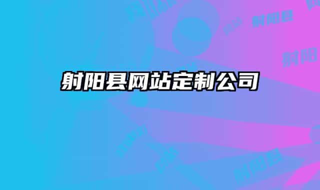 射阳县网站定制公司