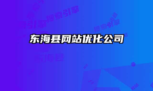 东海县网站优化公司
