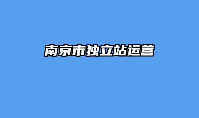 南京市独立站运营