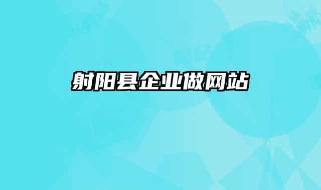 射阳县企业做网站