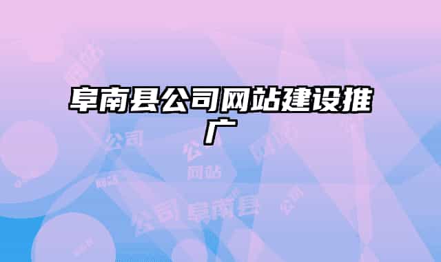 阜南县公司网站建设推广