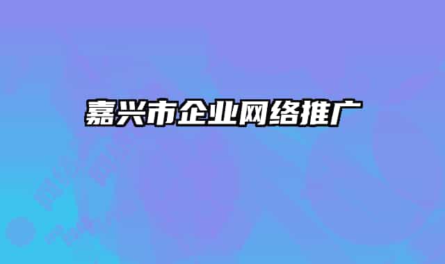 嘉兴市企业网络推广