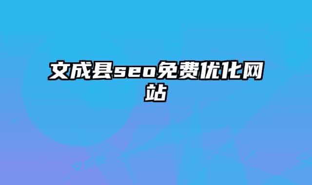 文成县seo免费优化网站