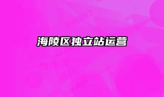 海陵区独立站运营