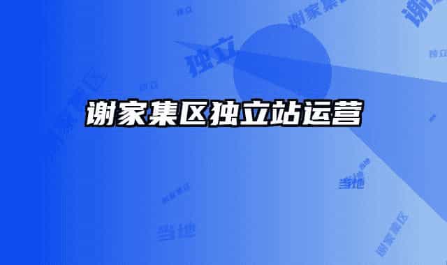 谢家集区独立站运营