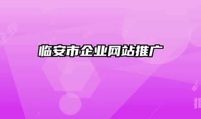 临安市企业网站推广