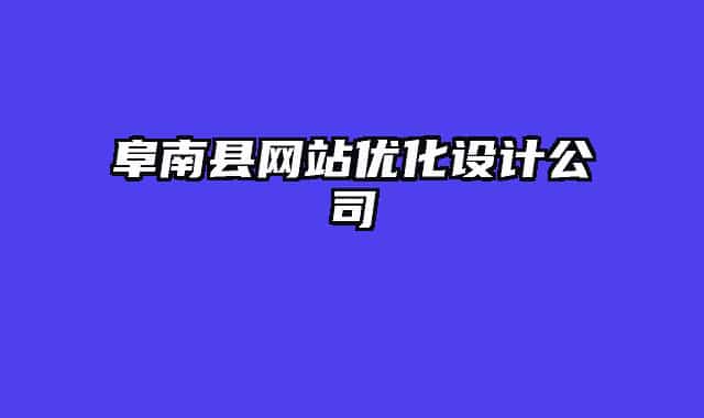 阜南县网站优化设计公司