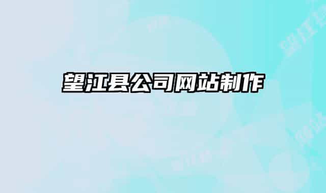 望江县公司网站制作