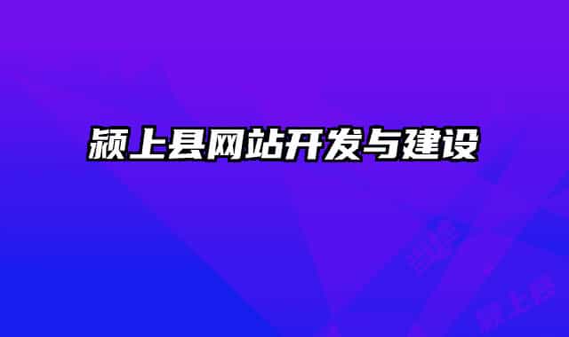 颍上县网站开发与建设