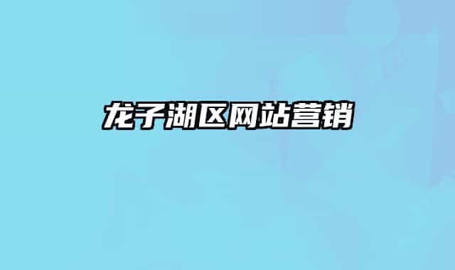 龙子湖区网站营销
