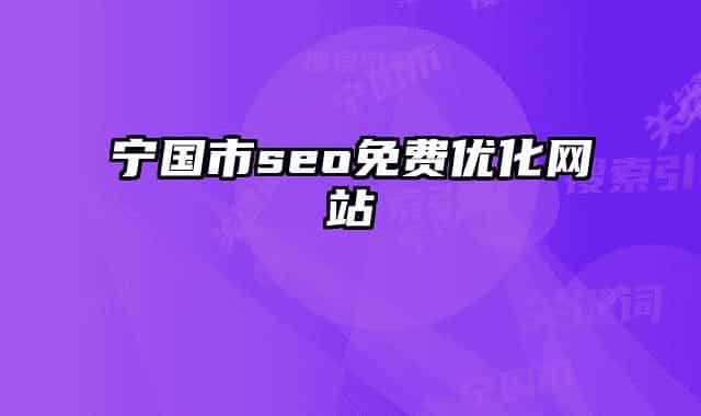 宁国市seo免费优化网站