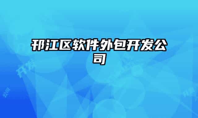 邗江区软件外包开发公司