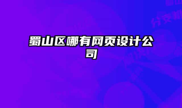 蜀山区哪有网页设计公司