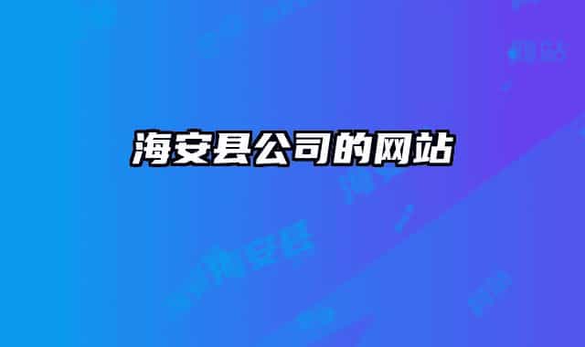 海安县公司的网站