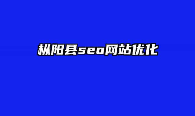 枞阳县seo网站优化