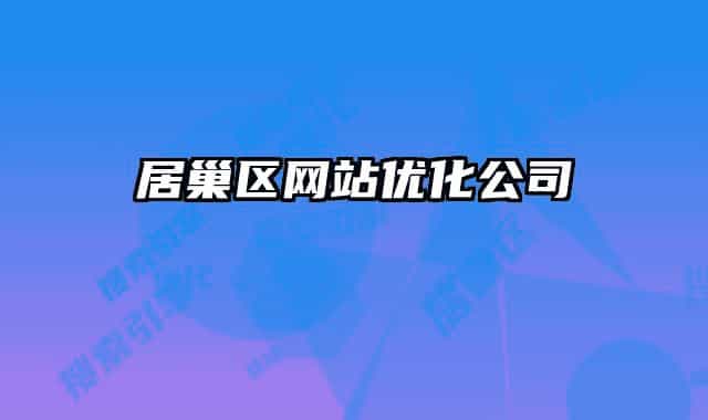 居巢区网站优化公司