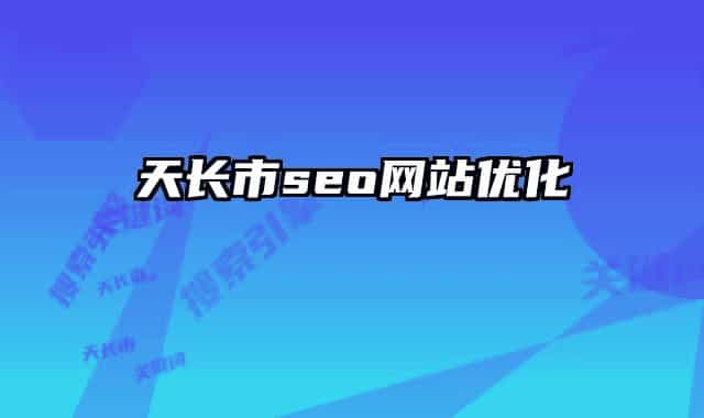 天长市seo网站优化