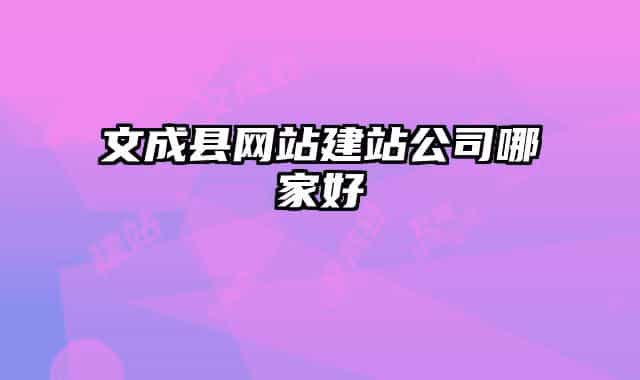 文成县网站建站公司哪家好