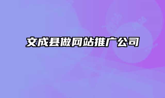 文成县做网站推广公司