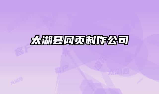 太湖县网页制作公司