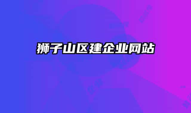 狮子山区建企业网站