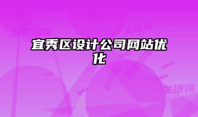 宜秀区设计公司网站优化