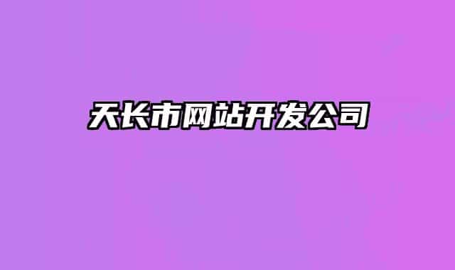 天长市网站开发公司