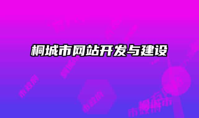 桐城市网站开发与建设