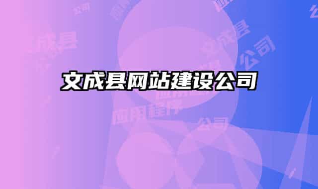 文成县网站建设公司