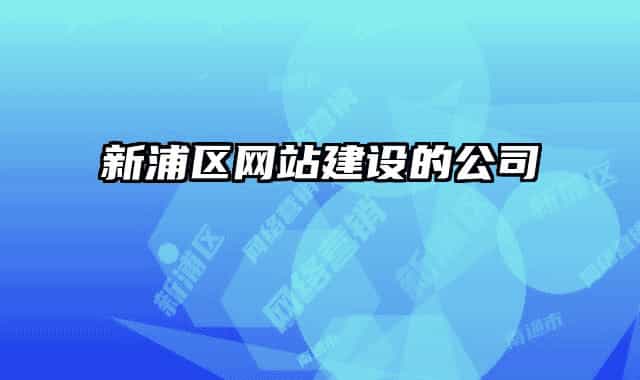 新浦区网站建设的公司