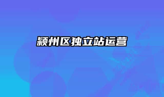 颍州区独立站运营