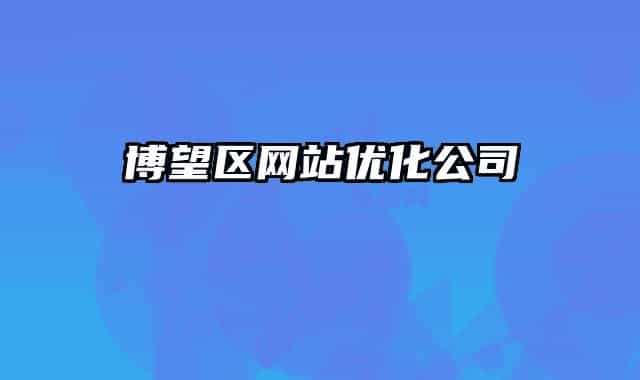 博望区网站优化公司