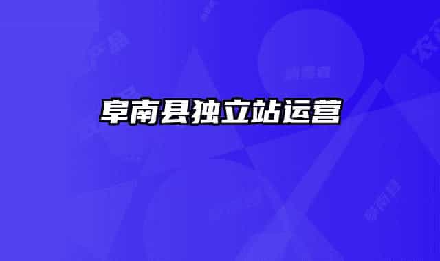 阜南县独立站运营