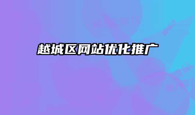 越城区网站优化推广