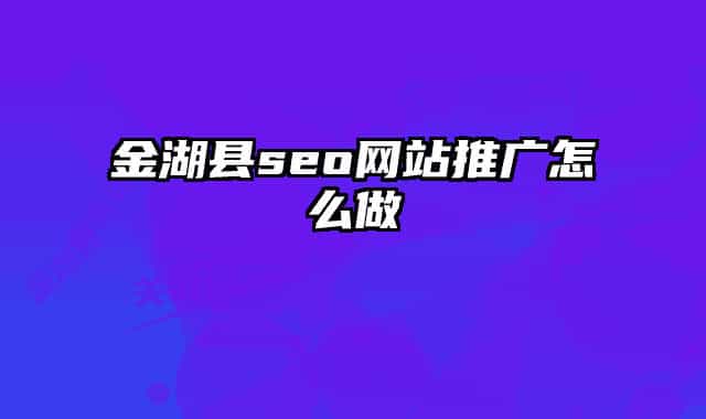 金湖县seo网站推广怎么做