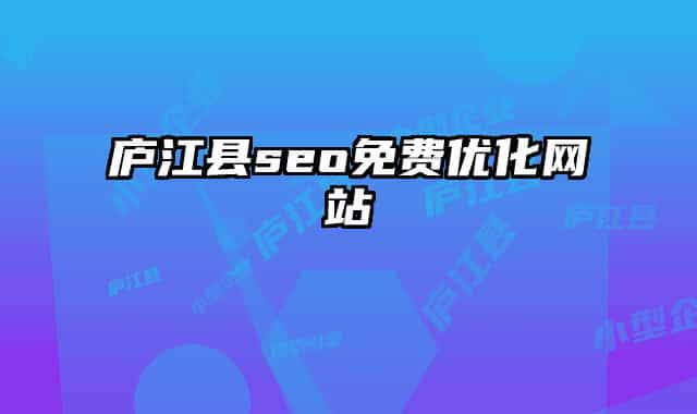 庐江县seo免费优化网站